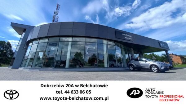 TOYOTA Professional Bełchatów Ewelina Kucharczyk - obrazek 4