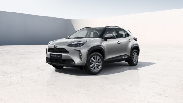 TOYOTA Professional Bełchatów Ewelina Kucharczyk - obrazek 12
